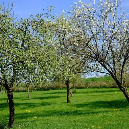بيت للعطل Ancienne Fermette Le Charlemont Givet *