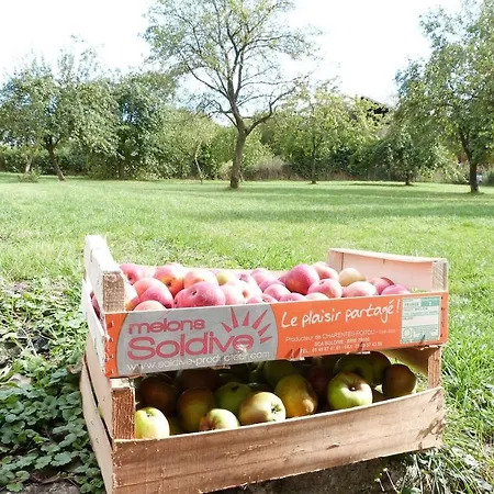 Ancienne Fermette Le Charlemont Givet Prázdninový dům *