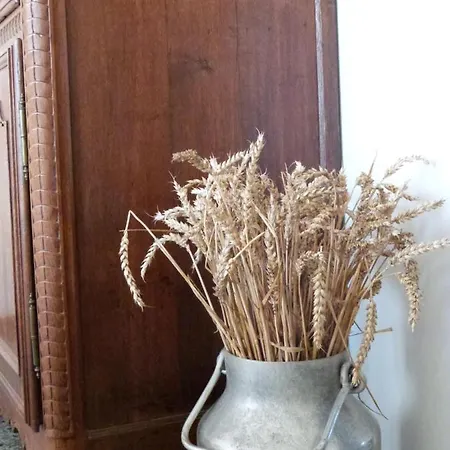 Ancienne Fermette Le Charlemont Givet Tatil Evi